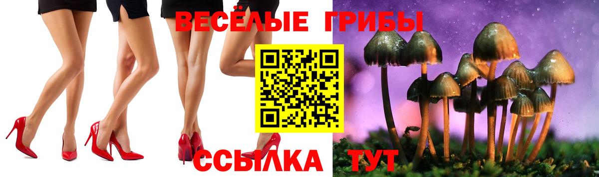 Псилоцибиновые грибы GOLDEN TEACHER Орск